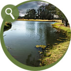 Image Gallery